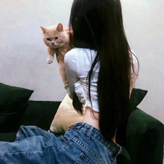 凛冬王第一季